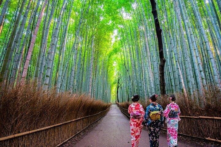 Kyoto Sansen-in Arashiyama Train 1 Tagestour von Osaka oder Kyoto