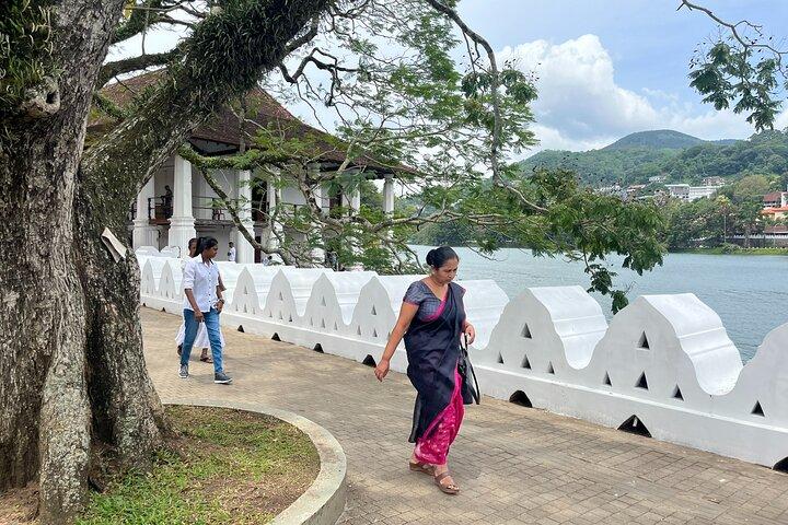 Tour privato del Kandy Day da Negombo