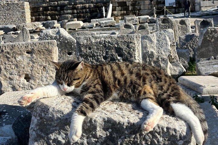 One Day in Ephesus: Explore the Heart of Ancient Civilization
