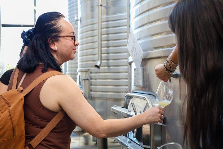 Lisbon: Évora Winery Tour, Bones Chapel & Tastings - Small Group