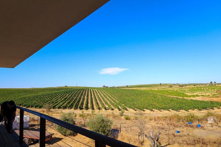 Lisbon: Évora Winery Tour, Bones Chapel & Tastings - Small Group