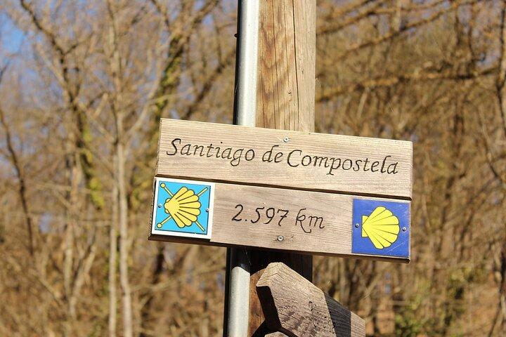 Vigo Santiago de Compostela Shore Excursion avec Guide