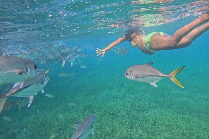 Barriera Corallina Snorkeling da Hopkins Village