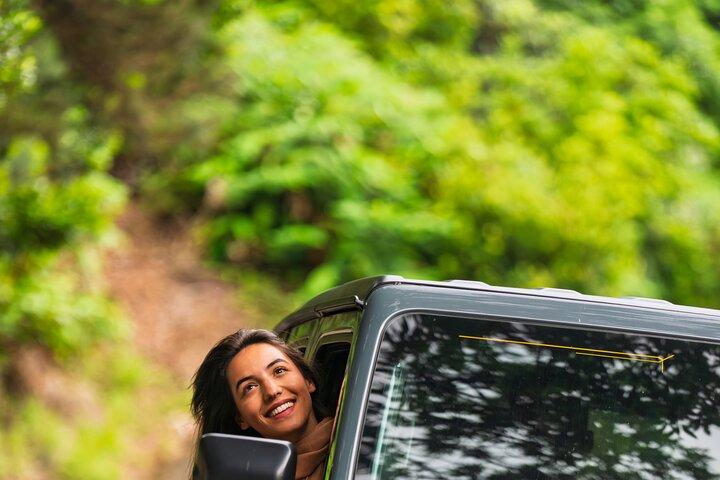 Madeira : Mystical Fanal Forest&Porto Moniz Natural Pools 4x4 Tour(マデイラ島:神秘的なファナルの森&ポルト・モニス自然プール4x4ツアー)