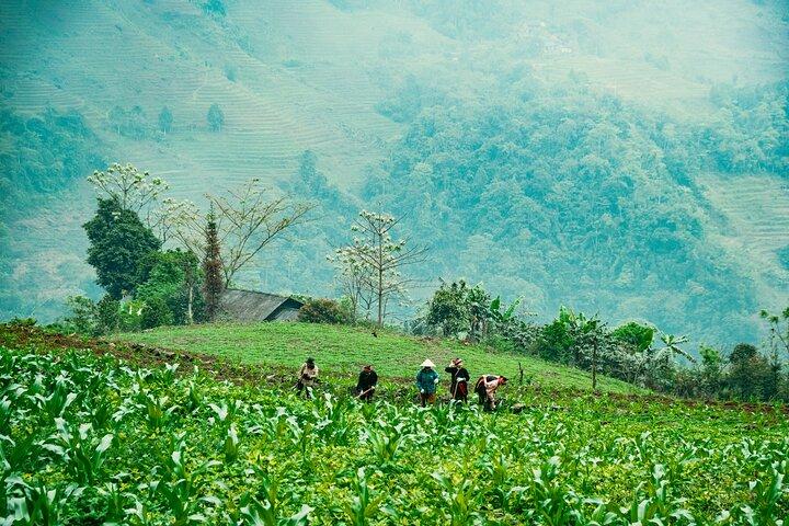 Echte North Ha Giang Loop Motor Tour 4 dagen vol avonturen