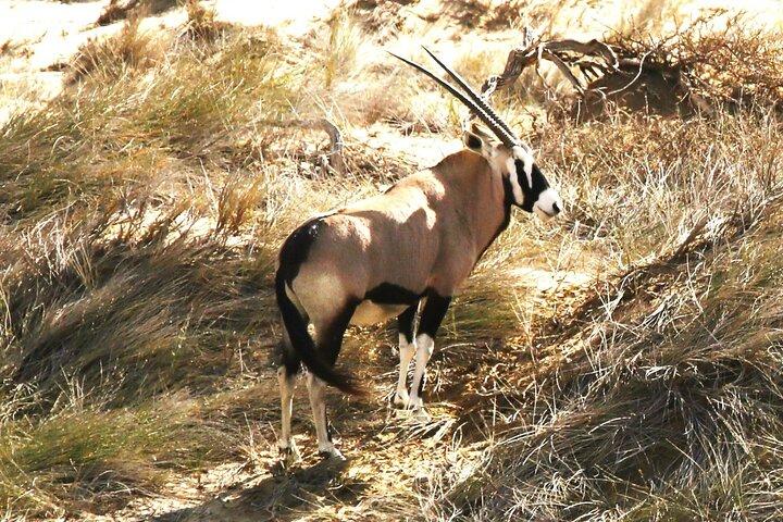 Sandwich Harbour Namibia Wo jeder Urlaub zum Abenteuer wird