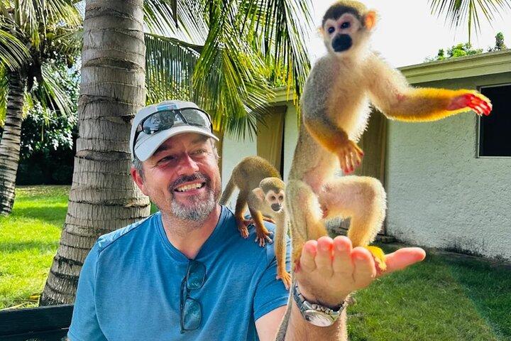 2X1 : MonkeyLand plus ridning strand i Puerto Plata