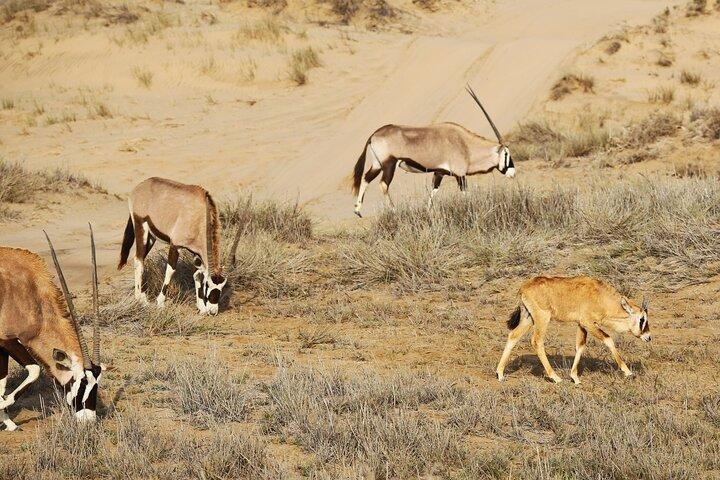 Sandwich Harbour Namibia Wo jeder Urlaub zum Abenteuer wird