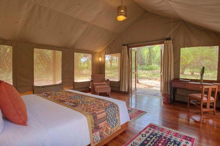 Kenya Explorer: En 7-dages vejsafari til Masai Mara (klassisk)
