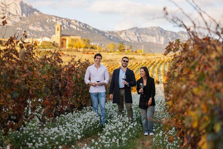 Esclusiva degustazione di vini Rioja e pranzo gourmet da Bilbao