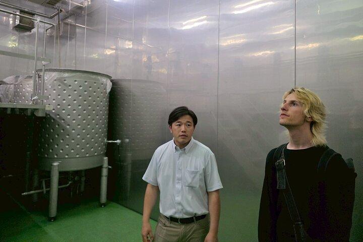 Visita dietro le quinte: Hiroshima Saijo Sake Brewery Tour