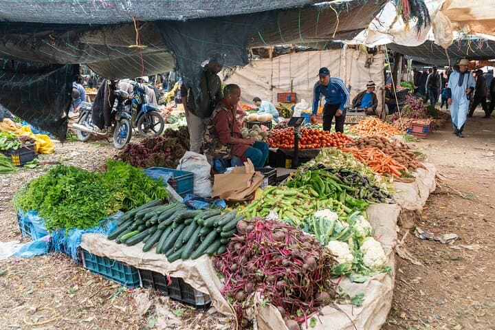 Luxury Full-Day Atlas Mountains: 4 Valleys & Waterfalls