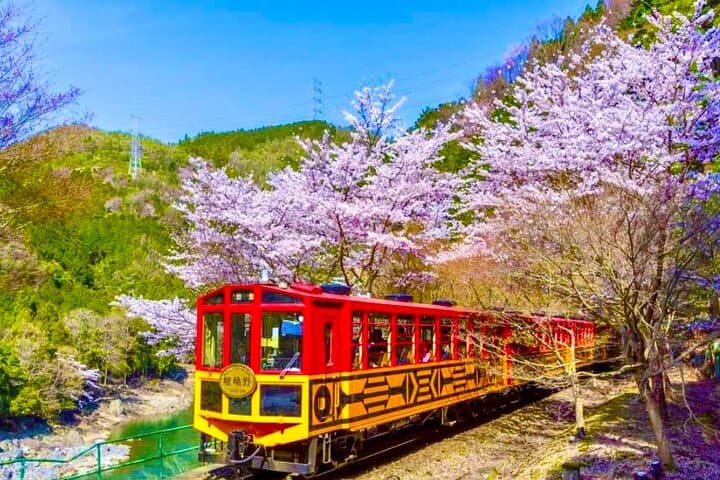 Nara Deer Park, Fushimi Inari & Arashiyama Bamboo Forest Day Tour