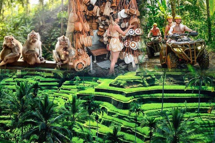 Paseo en ATV de día completo, bosque de monos, terraza de arroz de Tegalalang