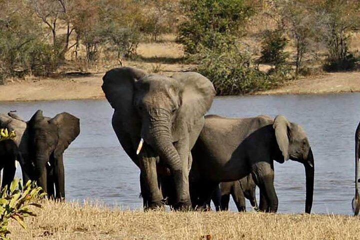 Hluhluwe Game Reserve e Isimangaliso Safari di 2 giorni da Durban