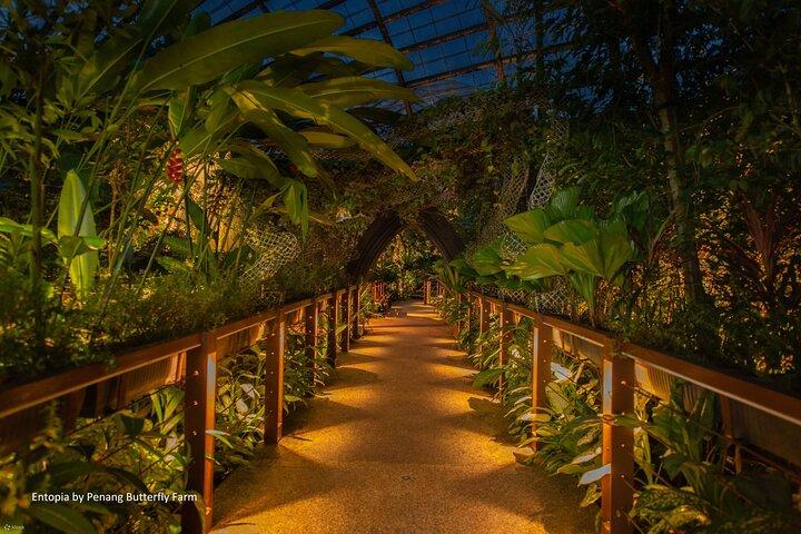 Penang City en Entopia Butterfly Farm Tour