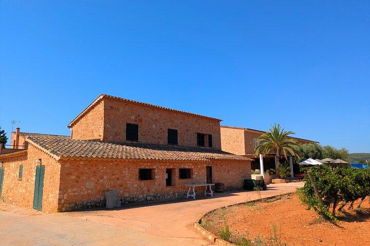 Mallorca vin tur smage lokale vine i Santa Maria