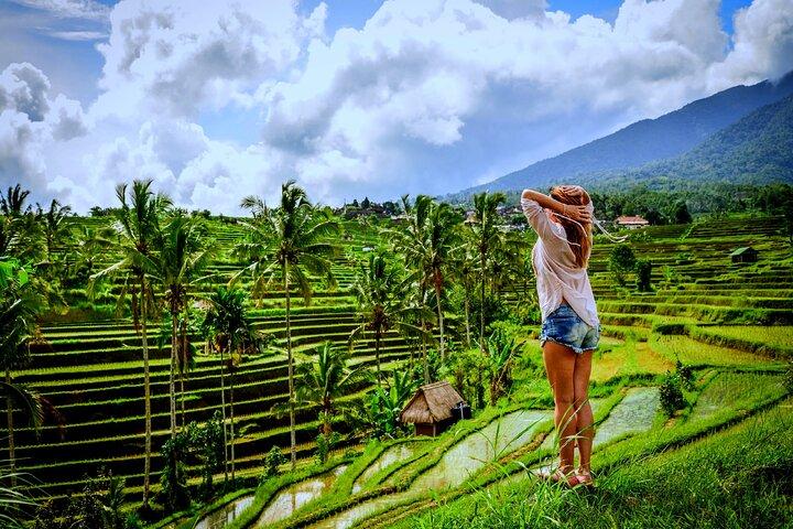 Excursão privada em Bali Ubud Waterfall, Rice Terraces e Monkey Forest