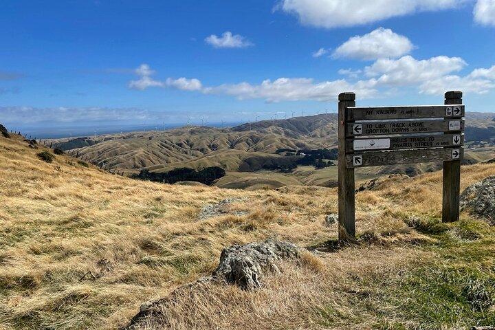 Wellington: Wild Skyline Guided Hiking Tour, Transfers + Almoço