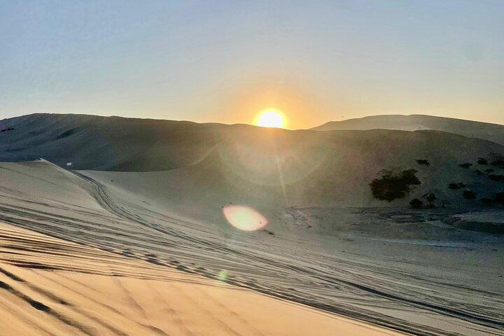Excursão de dia inteiro para Paracas e Ica a partir de Lima