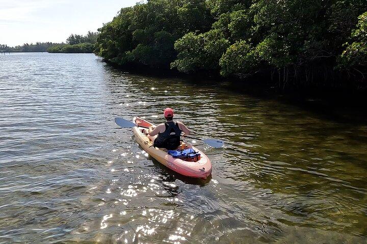 Round Island Kayak & Paddle Board Tour