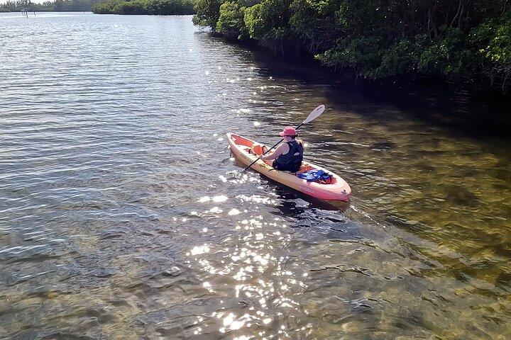 Round Island Kayak & Paddle Board Tour