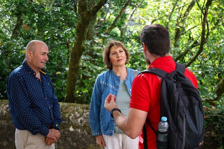From Lisbon: Sintra, Pena & Winery Tour with Tasting Small-Group