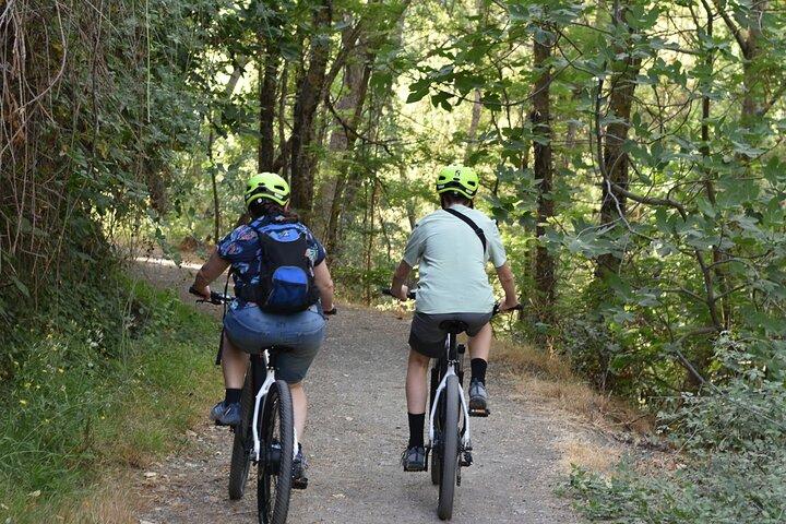 Grenade : Excursion à vélo électrique en Sierra Nevada Près de Los Cahorros Monachil