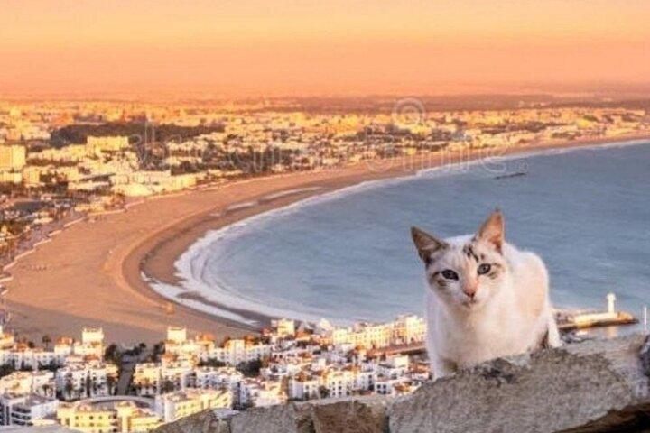 Soirée Couleurs Sunset Cable Car tour et Big Market Souk Agadir