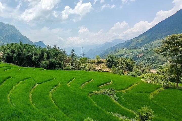 Seien Sie ein Einheimischer : Sapa 2 - Day Trekking & Homestay