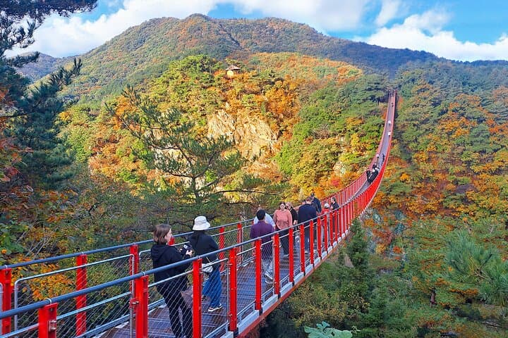 DMZ Guided Tour with N.K./Gondola/Suspension Bridge from Seoul