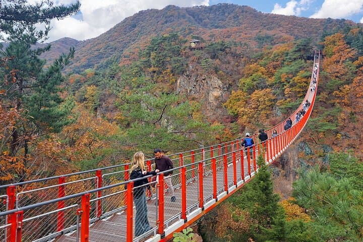 DMZ Guided Tour with N.K./Gondola/Suspension Bridge from Seoul
