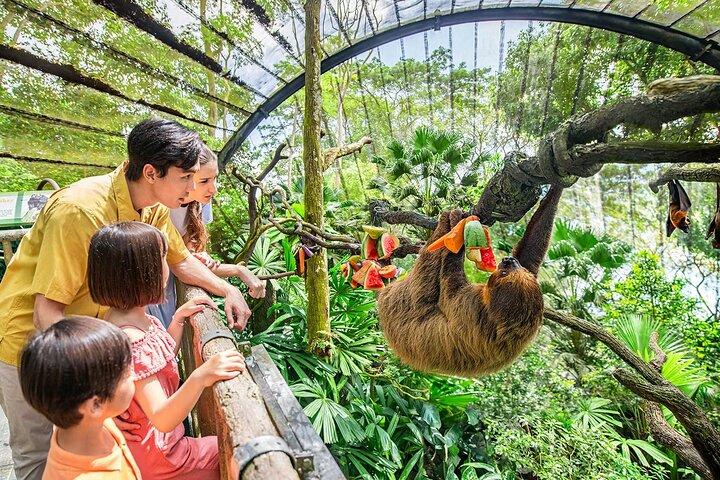 Singapore Zoo biljetter med spårvagnsresa