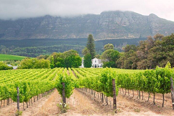 Tour de degustação de vinhos de Stellenbosch e Franschoek Winelands de dia inteiro