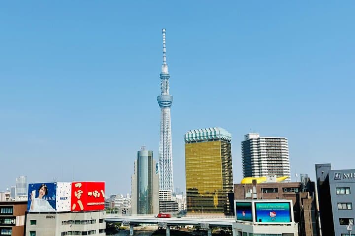 Tokyo Private Highlights Tour by Luxury Car with Local Guide