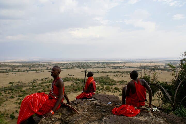 5 Day Vino Safari with Wine and Wildlife Adventure