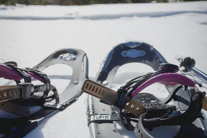 Tour de aventura con raquetas de nieve