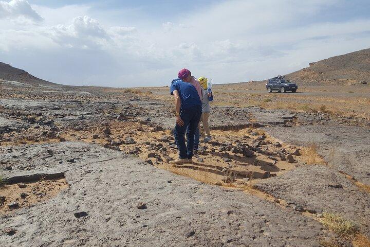 Morocco Fossil and Cultural Tour