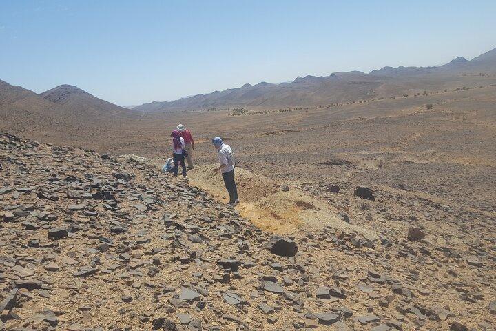 Morocco Fossil and Cultural Tour