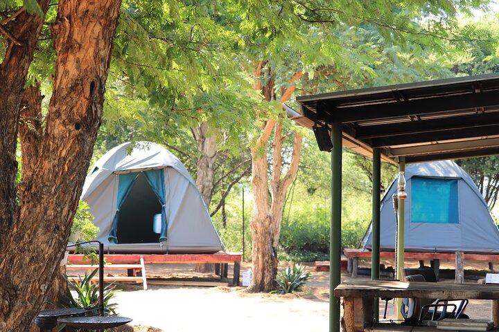 Safari de 3 Días en el Parque Nacional Pilanesberg