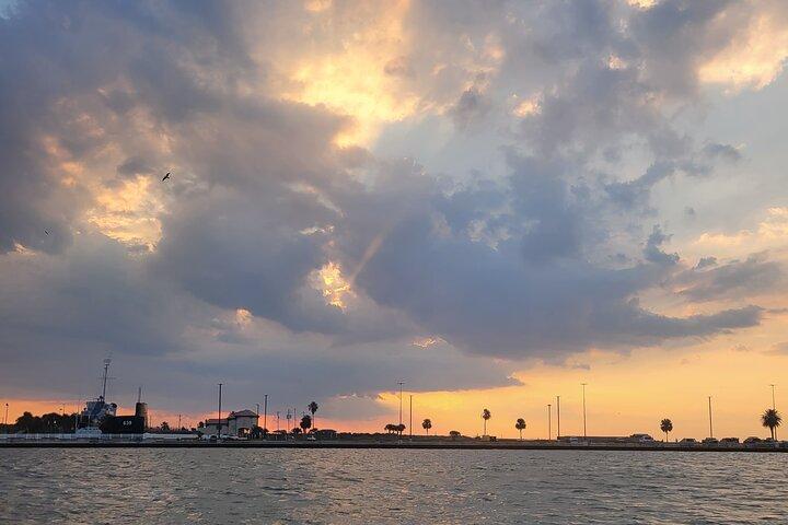 Galveston Historische Hafenrundfahrt mit Delfinen