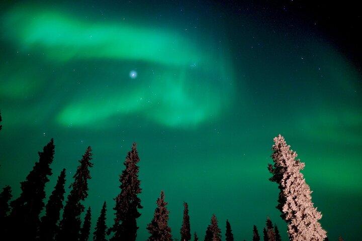 Rovaniemi – Echte Noorderlicht Jachtervaring (Kleine Groep)