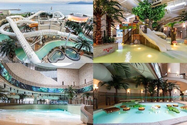 Busan CLUBD OASIS Biglietto per Spa e Parco Acquatico (땜뵭인 뵬매 불찀)