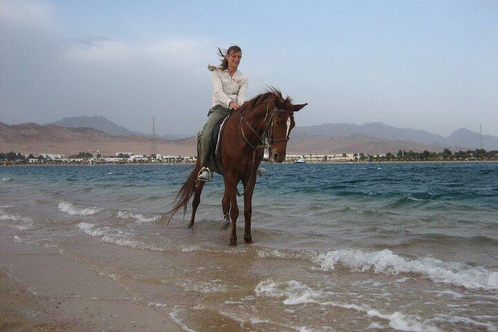 1 hora de passeio a cavalo na praia de Nabq Bay e transfers–Sharm El Sheikh