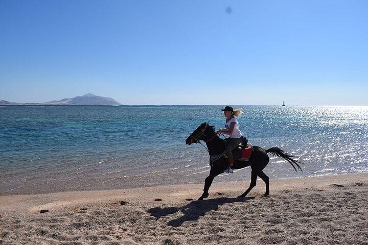 Safari ATV Quad e 2 ore a cavallo con trasferimento - Hurghada