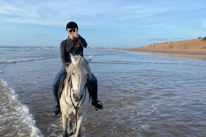 2H Sunrise Horse Ride Strand og ørken med Transfer: Hurghada