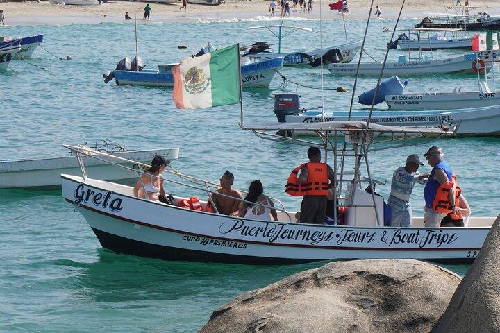 Delfiner og hvaler i Puerto Escondido