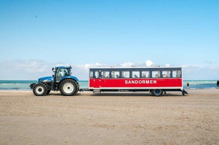 Skagen Private Half Day Tour from Cruise Port