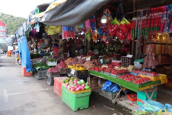 Cameron Highlands Day Tour de Kuala Lumpur 2026