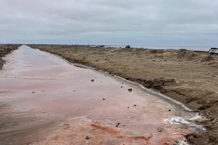 Sandwich Harbour 4x4 et Pelican Point Tours
